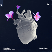 Stone Heart (Single)
