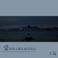 受伤的人躲在夜里伤心 (Single)
