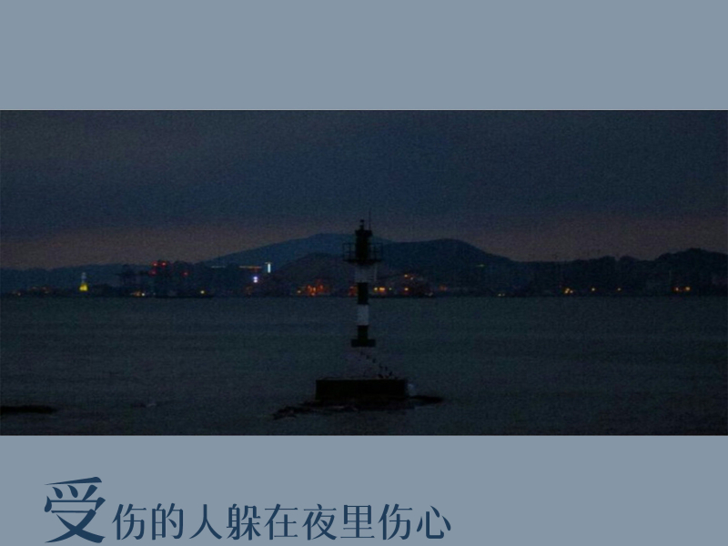 受伤的人躲在夜里伤心 (Single)