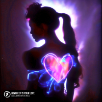 How Deep Is Your Love (Single)