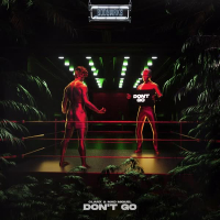 Don't Go (Single)