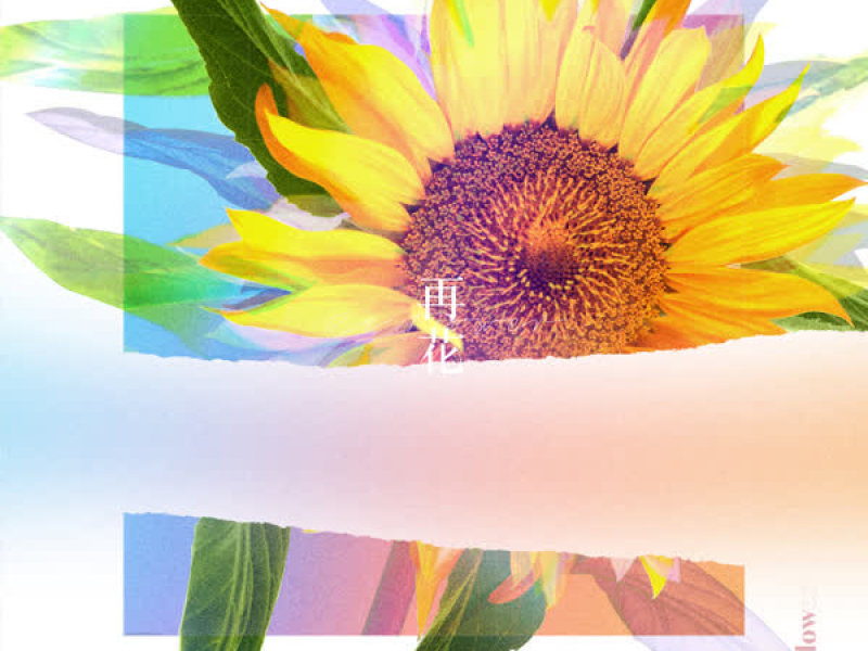 [Re:flower] PROJECT #4 (EP)