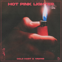 Hot Pink Lighter (Single)