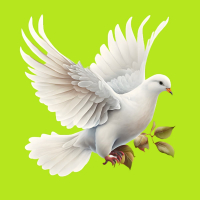 نحن نريد السلام (Single)