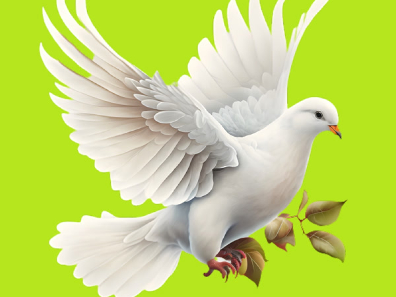 نحن نريد السلام (Single)