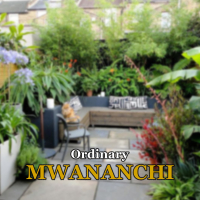 Ordinary Mwananchi