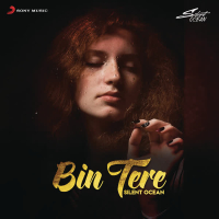 Bin Tere (Lofi Flip) (Single)