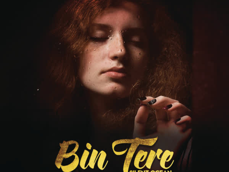 Bin Tere (Lofi Flip) (Single)