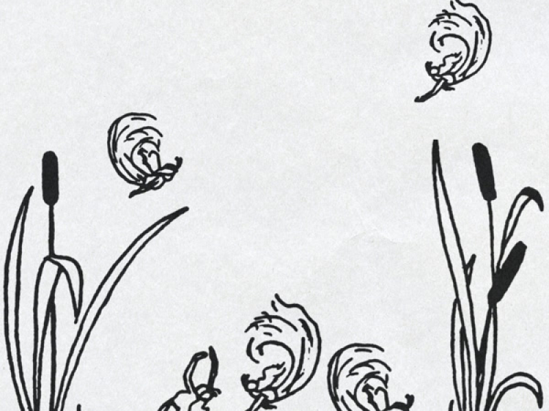 Elves / Dream (Single)