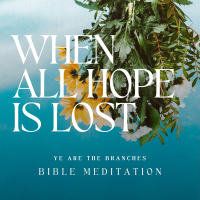 When all hope is lost (Bible meditation)