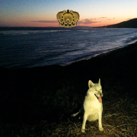 You Don't Have To Be Alone (Charlie Wilson Version) (Single)