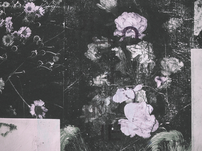 Shadows & Light (Single)