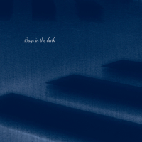Bugs in the dark (Single)