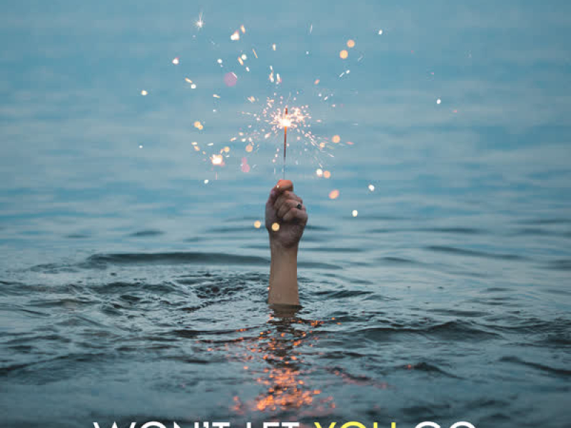 Won't Let You Go (EP)