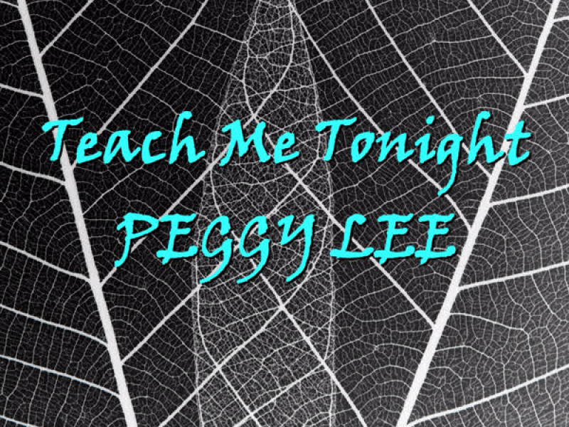Teach Me Tonight