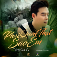 Phải Quên Thật Sao Em (DG Remix) (Single)