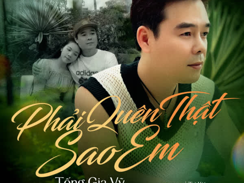 Phải Quên Thật Sao Em (DG Remix) (Single)