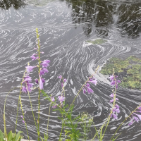 走进龙虬庄遗址公园 (Single)