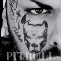 PITBULL (Single)