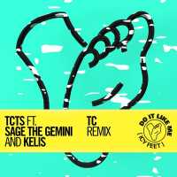 Do It Like Me (Icy Feet) (TC Remix) (Single)
