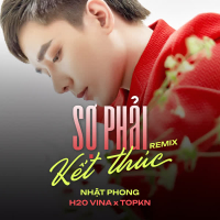 Sợ Phải Kết Thúc (Remix) (Single)