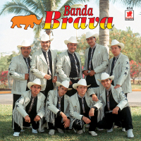 Banda Brava