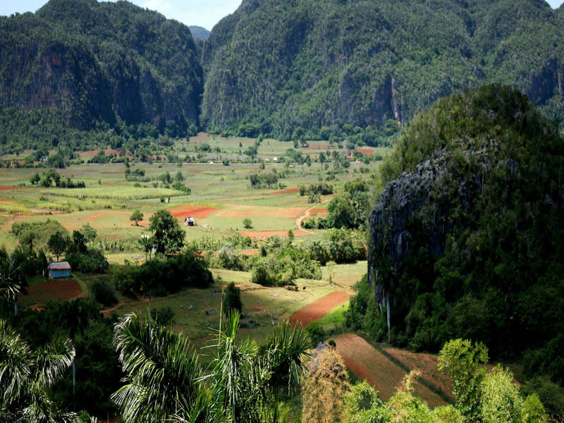 Laidback New Ones (Single)