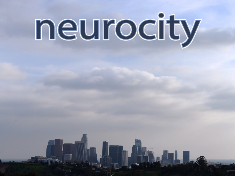 Neurocity