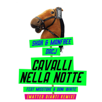 Cavalli Nella Notte (Matteo Dianti Remix) (Single)