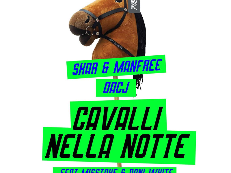 Cavalli Nella Notte (Matteo Dianti Remix) (Single)