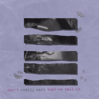 don't really care what we call it (Single)