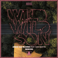 Wild Wild Son (Remixes) (Single)