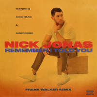Remember I Told You (Frank Walker Remix) (Single)