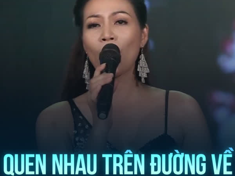 Quen Nhau Trên Đường Về (Single)