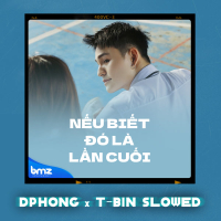 Nếu Biết Đó Là Lần Cuối (DPhong ft. T-Bin Slowed) (Single)