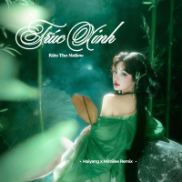 Trúc Xinh (Haiyang x Mimilee Remix) (Single)