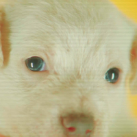 U Know What I Mean (Single)