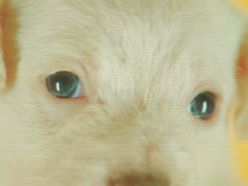 U Know What I Mean (Single)