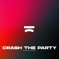 Crash The Party (Single)