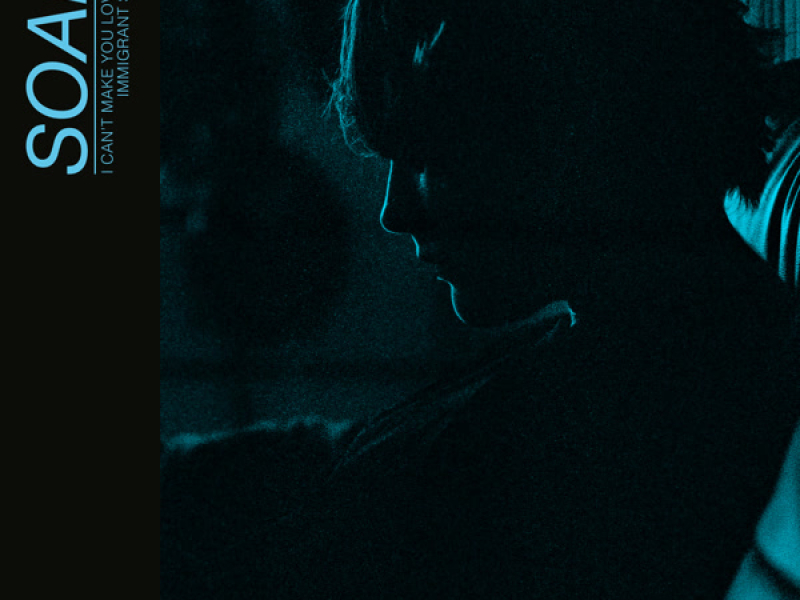 I Can't Make You Love Me / Immigrant Song (Single)