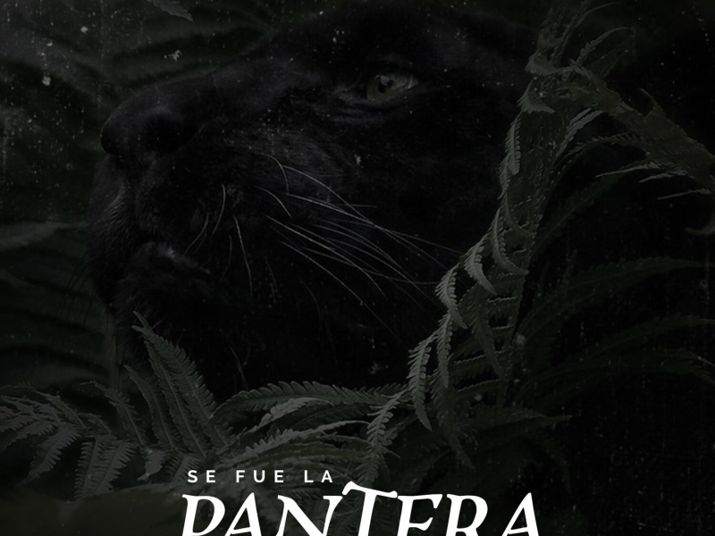 Se Fue La Pantera (Single)