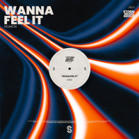 Wanna Feel It (EP)