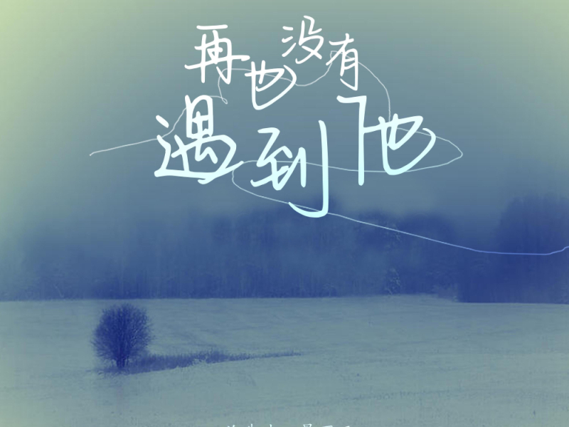 再也没有遇到他 (Single)