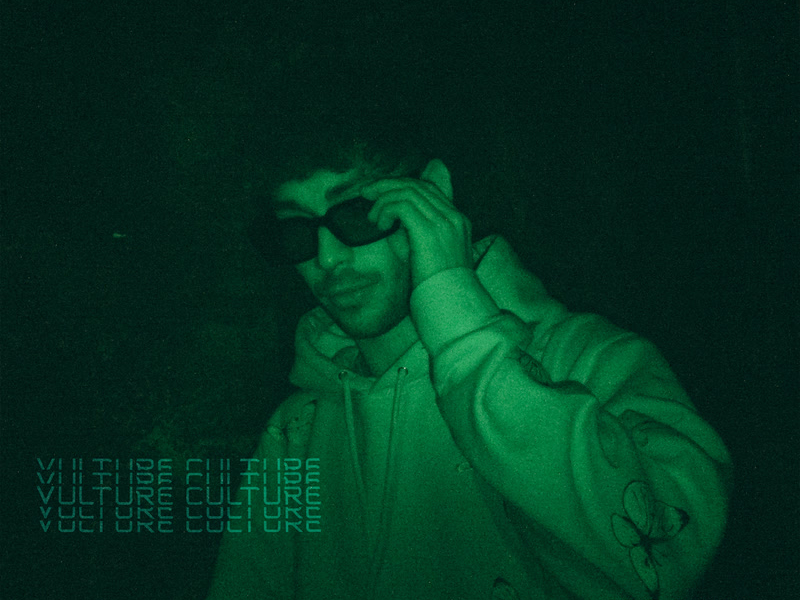 Vulture Culture (Single)