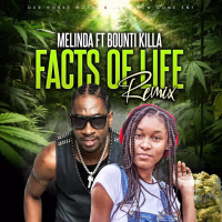 Facts of Life (Remix) (Single)