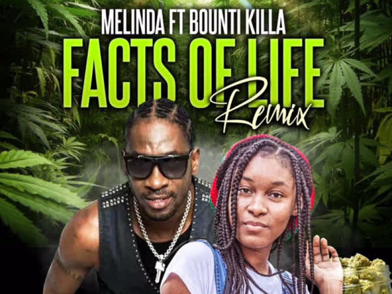 Facts of Life (Remix) (Single)