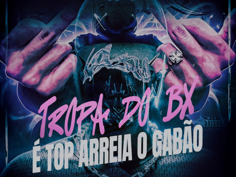 TROPA DO BX É TOP ARREIA O GABÃO (Single)