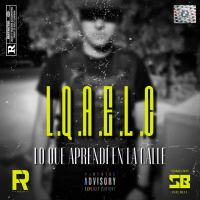 Lo Que Aprendí En La Calle (Single)