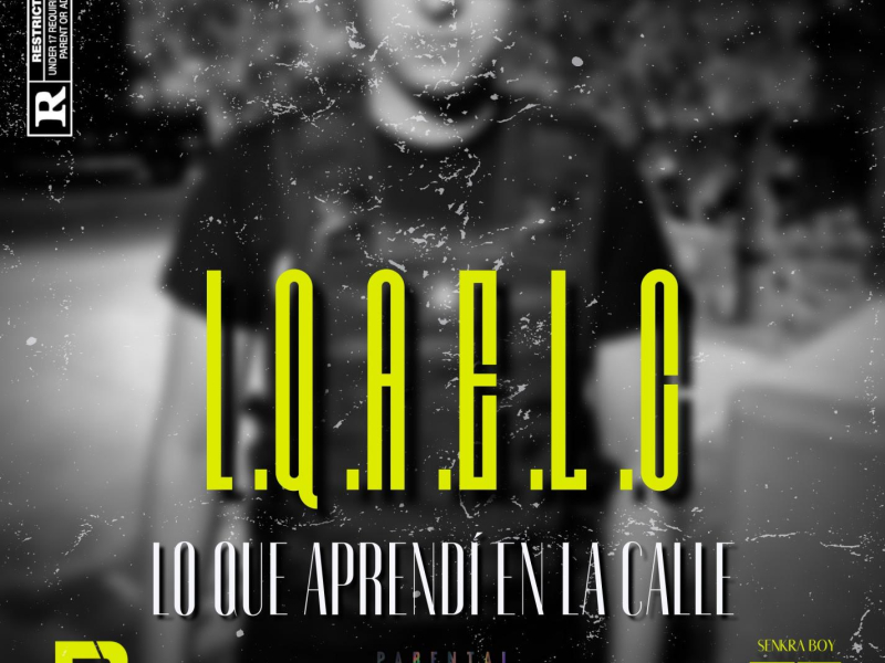 Lo Que Aprendí En La Calle (Single)