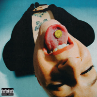 NORTH FACE JACKE (Single)